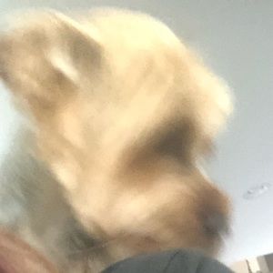 Meet your Posher, Mary